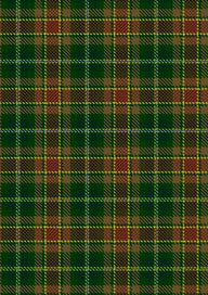  Dixon Clyde Tartan Fabric