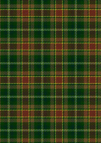  Dixon Clyde Tartan Fabric