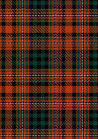  Docherty William Thomas and Mary Bridget Tartan Fabric