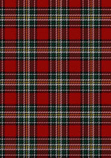 dunne-jordan-tartan-fabric