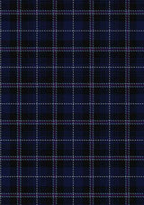 edgar-tartan-fabric