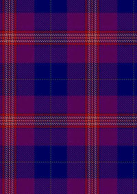 Gill Anil Tartan Fabric