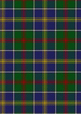 glasgow-city-of-culture-tartan-fabric
