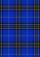 hannah-tartan-fabric