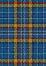 healy-tartan-fabric