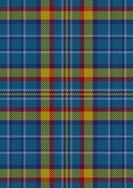  Healy Tartan Fabric