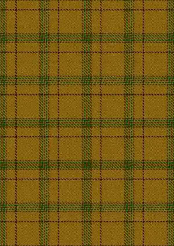 Houston Tartan Fabric