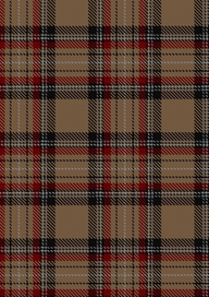  Islay Tartan Fabric