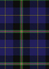 italian-national-tartan-fabric