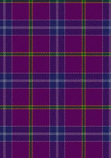 jackson-tartan-fabric