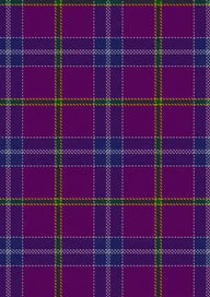 Jackson Tartan Fabric