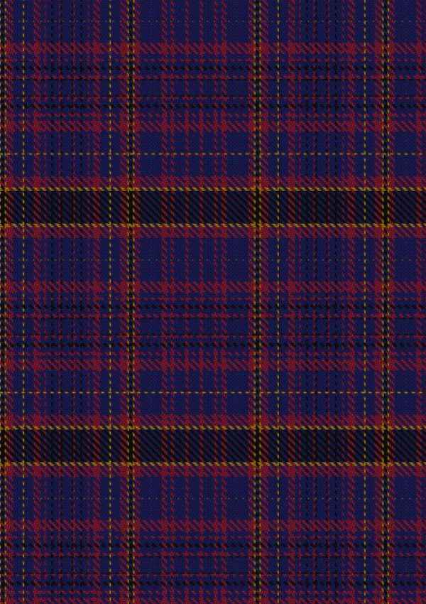 James Of Wales Tartan Fabric