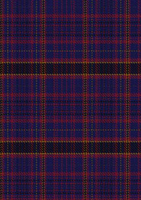 James Of Wales Tartan Fabric