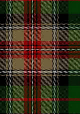 johnson-j-m-tartan-fabric