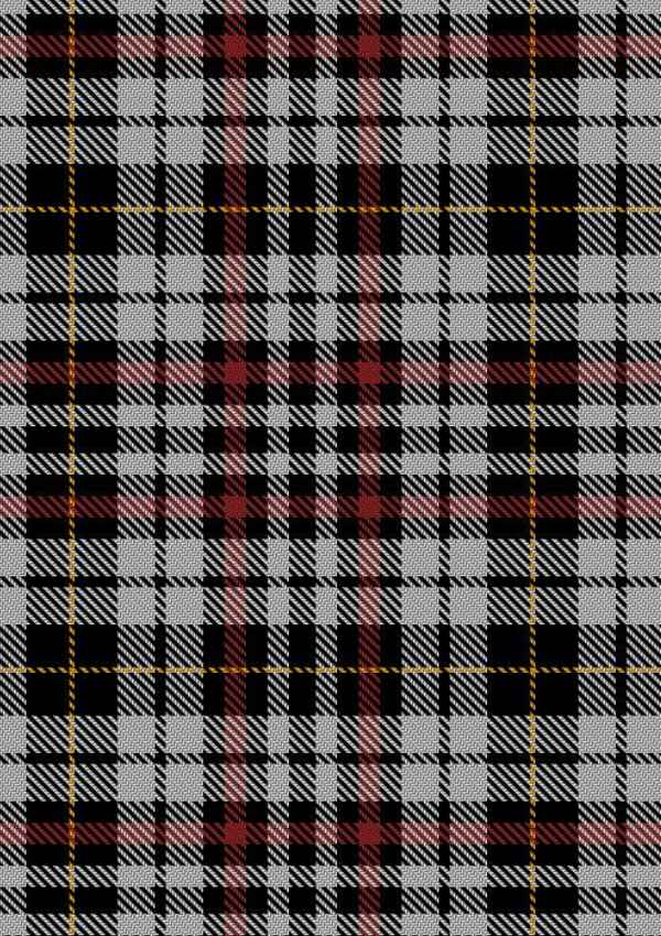 Little Arisaid Tartan Fabric