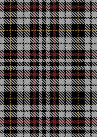 Little Arisaid Tartan Fabric