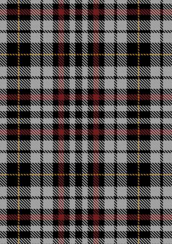 Little Arisaid Tartan Fabric
