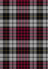 little-dress-tartan-fabric