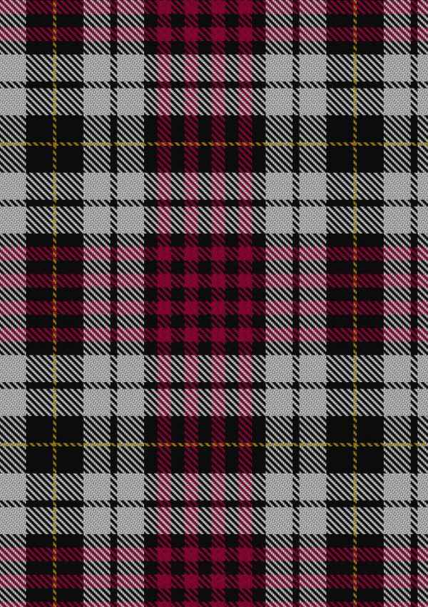  Little Dress Tartan Fabric