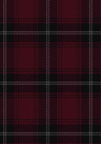  Llewellen Of Wales Tartan