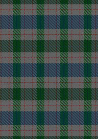 Lloyd Of Wales Tartan Fabric