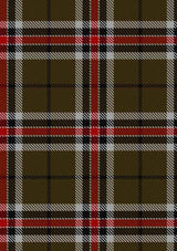 loch-ness-tartan-fabric