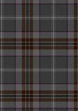 lomond-mist-tartan-fabric