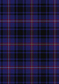 MacIver Of Strome Tartan Fabric