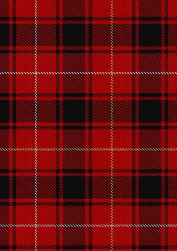 Maciver Tartan Fabric