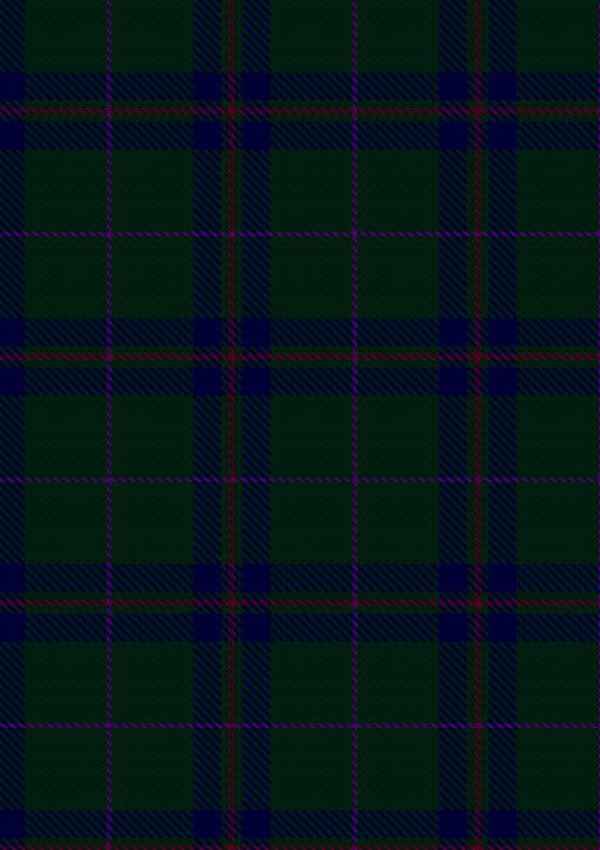  McAndrew B Tartan Fabric