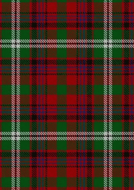 Mcguire Tartan Fabric