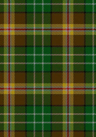 McShane Tartan Fabric