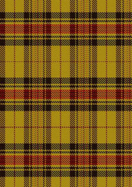  Morgan Of Wales Tartan Fabric