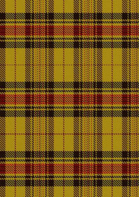  Morgan Of Wales Tartan Fabric