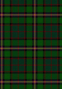 Nelson Patrick Tartan Fabric