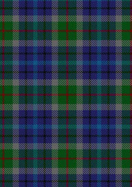  New York City Tartan Fabric