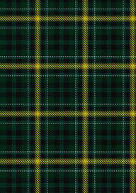 Noble Tartan Fabric