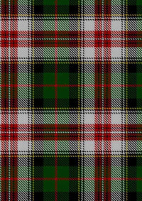  Palmer Edward Tartan Fabric