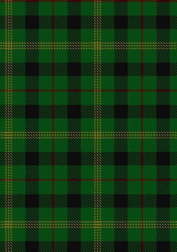 Paton Tartan Fabric