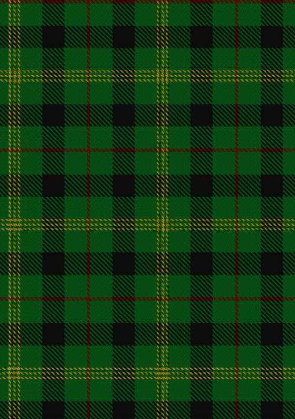 Paton Tartan Fabric