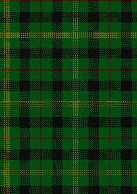 Paton Tartan Fabric