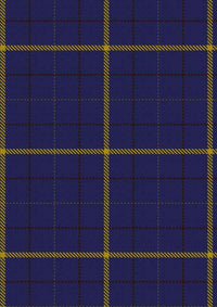 Pearson Tartan Fabric