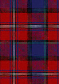  Porsche Bank Austria Tartan Fabric