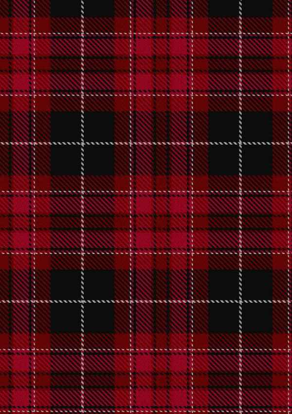  Pride Of Wales Tartan Fabric