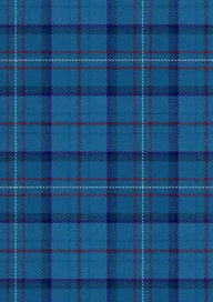 Raf Tartan Fabric