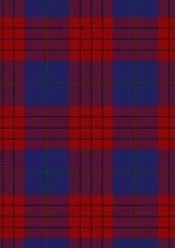 robinson-dress-tartan-fabric