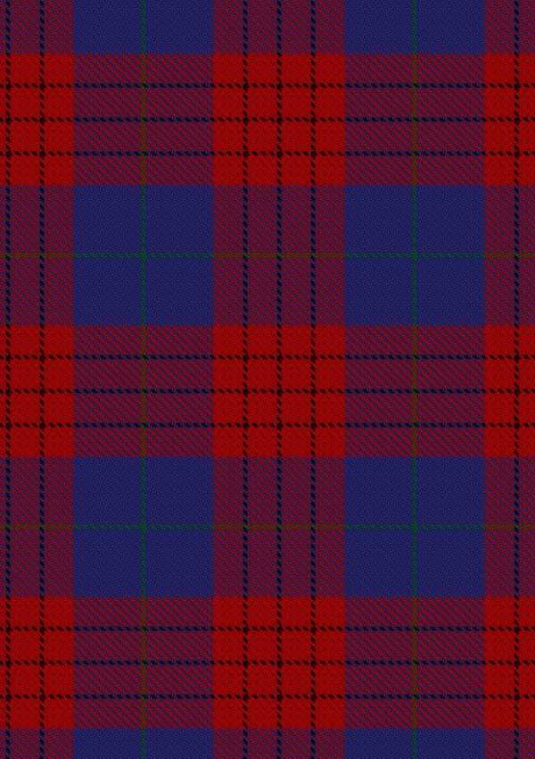 Robinson Dress Tartan Fabric