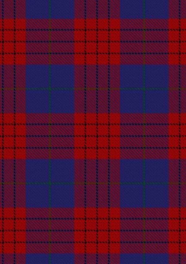 Robinson Dress Tartan Fabric