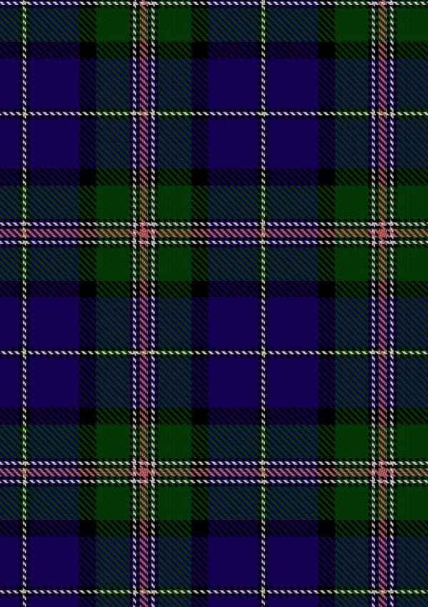 Robson Steve Tartan Fabric