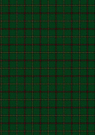  Skene Hunting Tartan Fabric